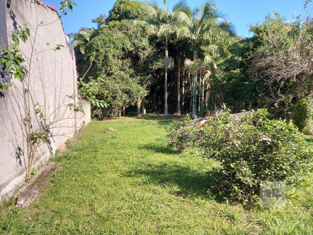 Terreno em Ribeirão da Ilha — foto 8