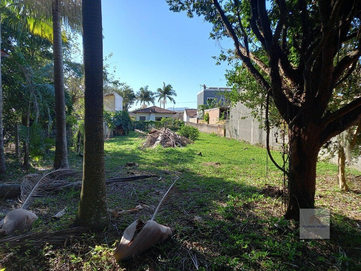 Terreno em Ribeirão da Ilha — foto 5