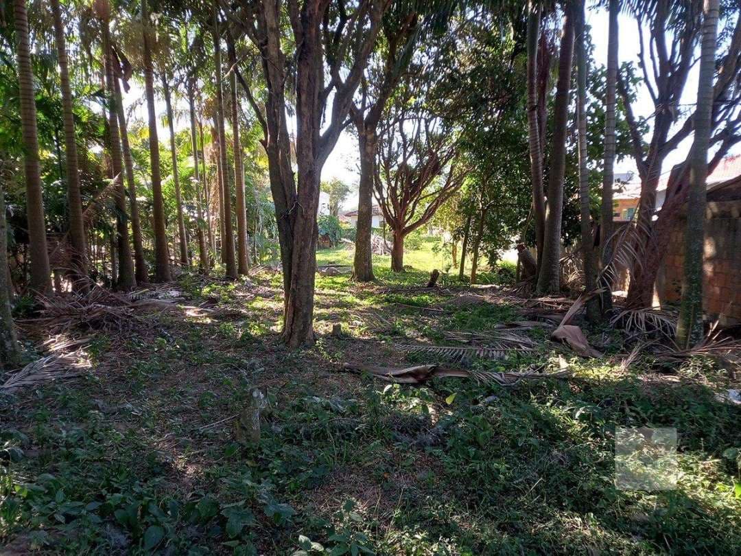 Terreno em Ribeirão da Ilha — foto 9