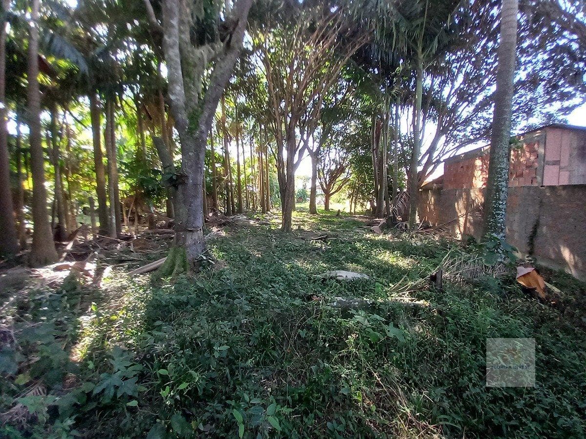 Terreno em Ribeirão da Ilha — foto 6