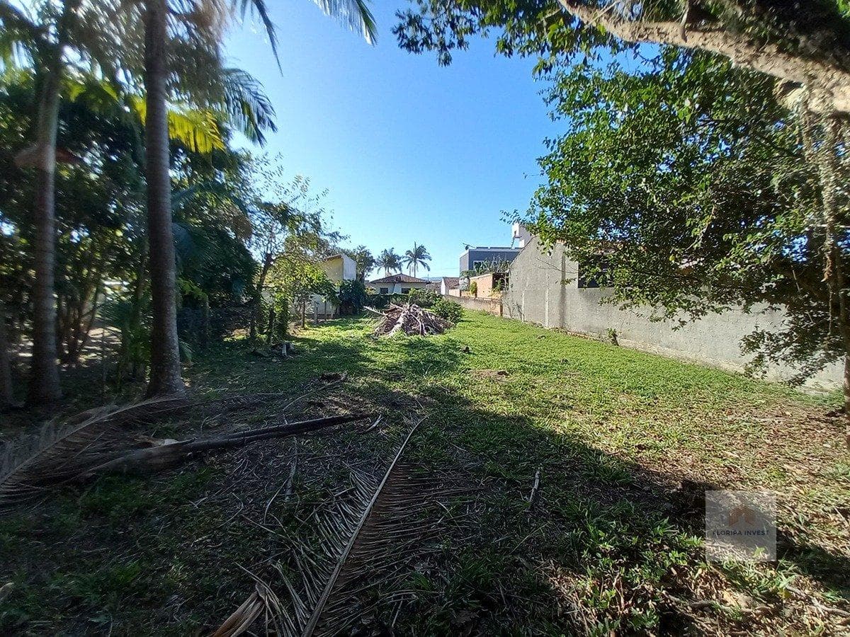 Terreno em Ribeirão da Ilha — foto 7