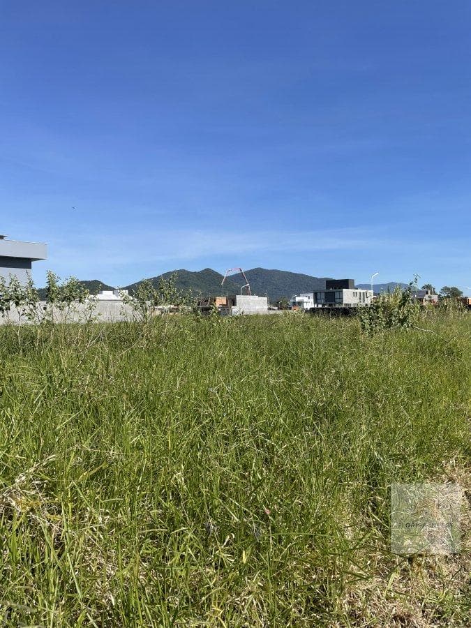 Terreno Residencial em Campeche — foto 7