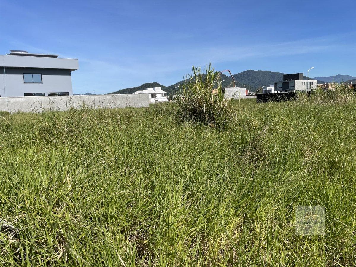 Terreno Residencial em Campeche — foto 2