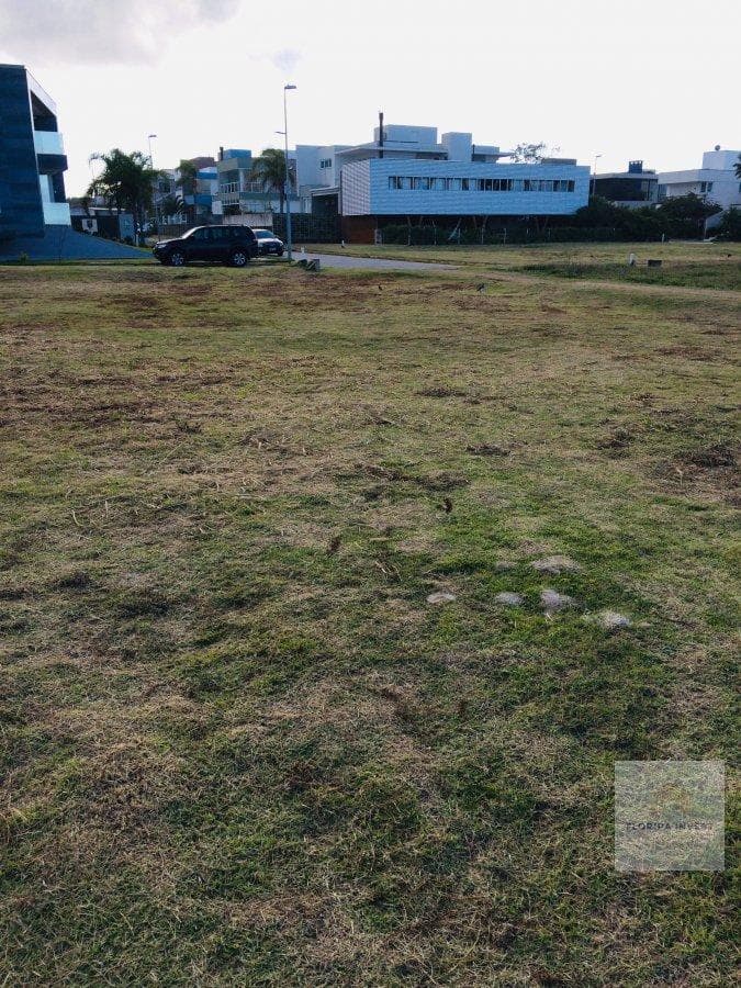 Terreno em Morro das Pedras — foto 9